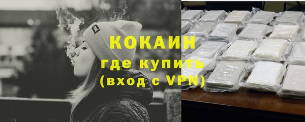 гидра Арсеньев