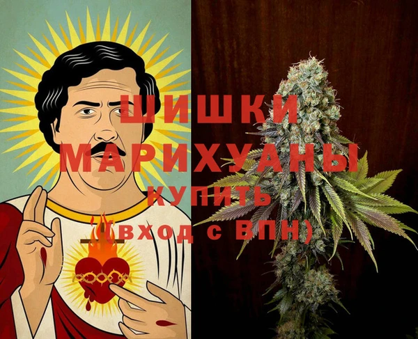 гидра Арсеньев