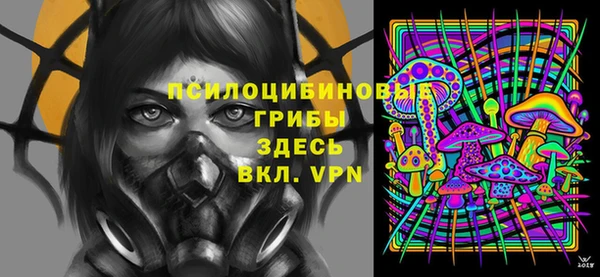 гидра Арсеньев