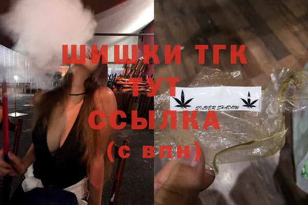 гидра Арсеньев